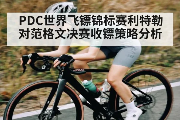 PDC世界飞镖锦标赛利特勒对范格文决赛收镖策略分析